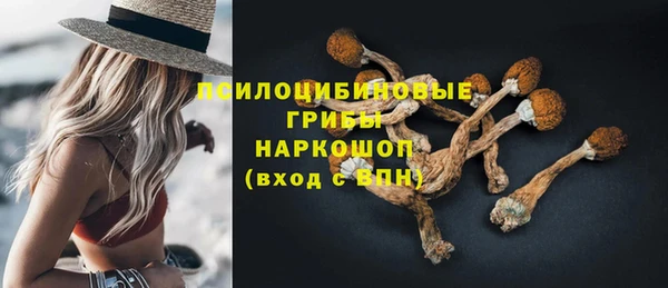 бошки Алексин