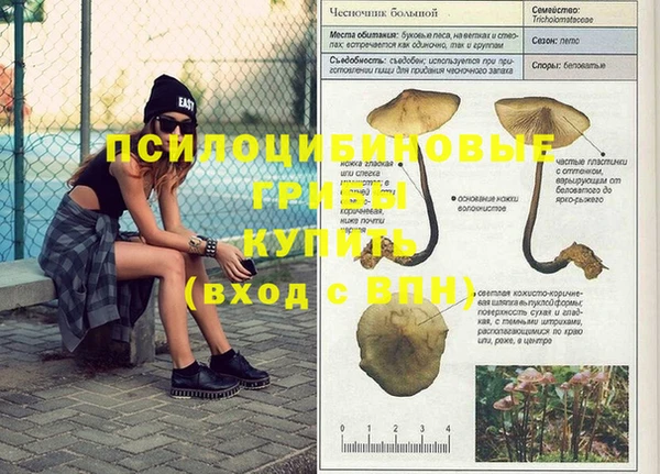 бошки Алексин