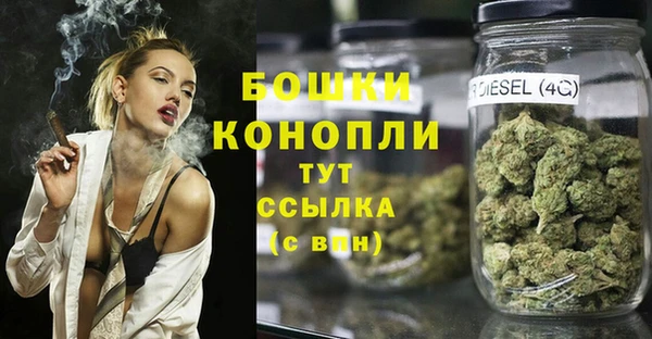 бошки Алексин