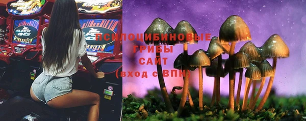 бошки Алексин