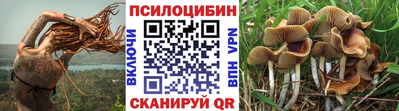 Галлюциногенные грибы GOLDEN TEACHER  Пучеж 